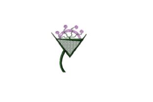 Lunation Wine Flower: A Designer’s Practical Review